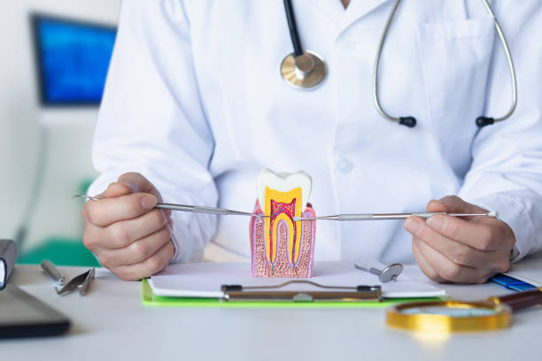 Best After-Hours Emergency Dentist in Park City, MT